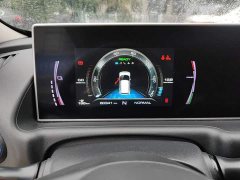 ORA White Cat 2020 360km Luxury - ფოტო 11