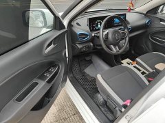 ORA White Cat 2020 360km Luxury - ფოტო 15