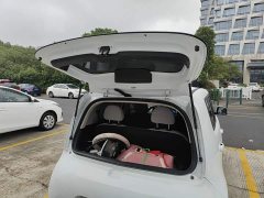 ORA White Cat 2020 360km Luxury - ფოტო 18