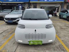 ORA White Cat 2020 360km Luxury - ფოტო 2