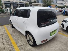ORA White Cat 2020 360km Luxury - ფოტო 4