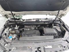 Volkswagen Viloran 380TSI Prestige - ფოტო 10