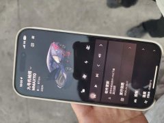 Tesla Model 3 Standard Range RWD Upgrade - ფოტო 11