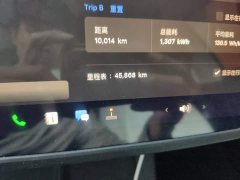 Tesla Model 3 Standard Range RWD Upgrade - ფოტო 4