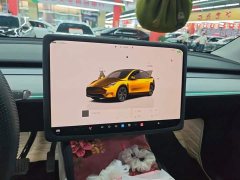 Tesla Model Y Rear-Wheel Drive - ფოტო 12