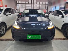 Tesla Model Y Rear-Wheel Drive - ფოტო 2