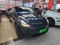 Tesla Model Y Rear-Wheel Drive - ფოტო 3