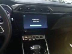 Ford Lingjie 2020 Lingjie S EcoBoost 145 CVT Platinum Edition - ფოტო 12