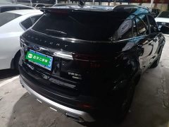 Ford Lingjie 2020 Lingjie S EcoBoost 145 CVT Platinum Edition - ფოტო 6
