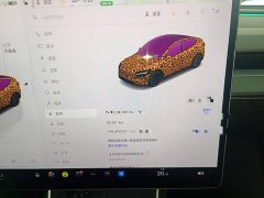 Tesla Model Y Rear-Wheel Drive - ფოტო 11