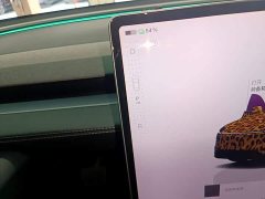 Tesla Model Y Rear-Wheel Drive - ფოტო 13