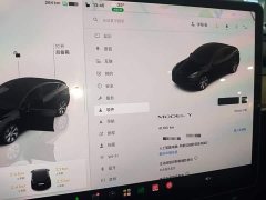 Tesla Model Y 2022 Facelift Rear-Wheel Drive - ფოტო 11