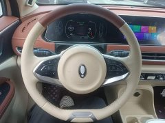 ORA Good Cat Morandi Edition 400km Standard Range Luxury Trim Ternary Lithium Battery - ფოტო 10