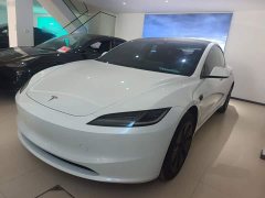 Tesla Model 3 Rear-Wheel Drive - ფოტო 1