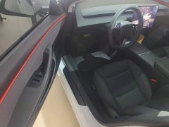Tesla Model 3 Rear-Wheel Drive - ფოტო 15
