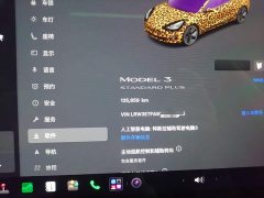Tesla Model 3 Standard Range RWD Upgrade - ფოტო 11