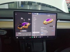 Tesla Model 3 Standard Range RWD Upgrade - ფოტო 12