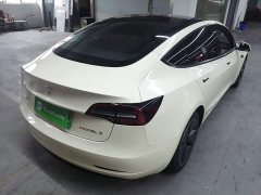 Tesla Model 3 Standard Range RWD Upgrade - ფოტო 6