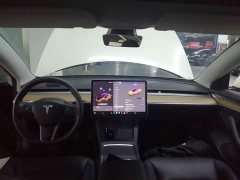 Tesla Model 3 Standard Range RWD Upgrade - ფოტო 9