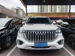 Haval H9 2.0T Gasoline 4WD Premium 5-Seater - ფოტო 2