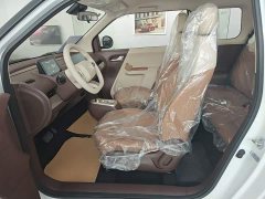 Changan Lumin Treasure Edition 205km Cool Love White CATL - ფოტო 14