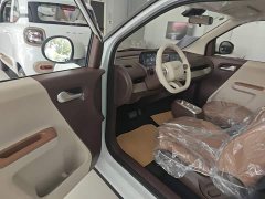 Changan Lumin Treasure Edition 205km Cool Love White CATL - ფოტო 15