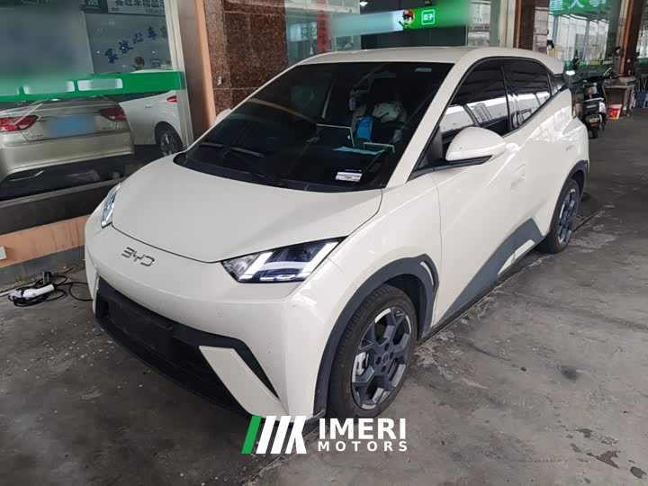 BYD Seagull 305km Freedom Edition