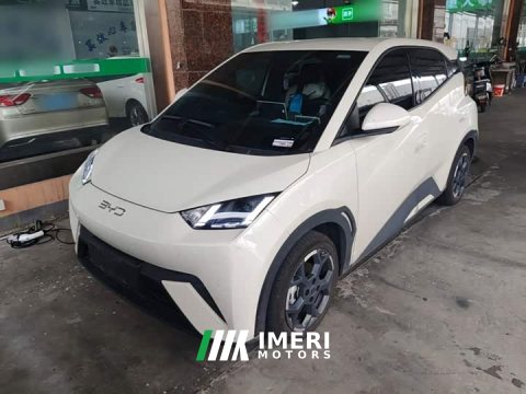 2024 BYD Seagull 2025 305km Freedom Edition - ავტომობილი ჩინეთიდან