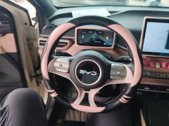 BYD Seagull 2025 305km Freedom Edition - ფოტო 10