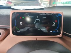 BYD Seagull 2025 305km Freedom Edition - ფოტო 11