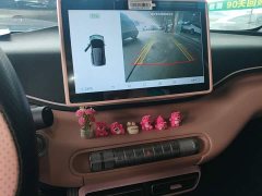 BYD Seagull 2025 305km Freedom Edition - ფოტო 12
