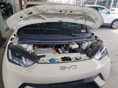 BYD Seagull 2025 305km Freedom Edition - ფოტო 19