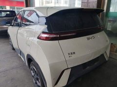 BYD Seagull 2025 305km Freedom Edition - ფოტო 4