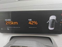 Polestar 4 Dual Motor Long Range Plus Dual Star Connected Edition - ფოტო 11