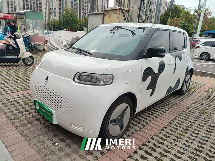 ORA White Cat 2020 401km Long Range - ავტომობილი ჩინეთიდან