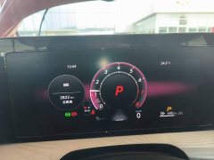 Volkswagen Lingdu 2026 Lingdu L GTS 380TSI Lingfeng Million Anniversary Edition - ფოტო 11