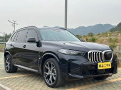 BMW X5 xDrive 30Li M Sport Premium Package - ფოტო 3