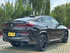 BMW X6 Facelift xDrive40i Luxury Edition M Sport Package - ფოტო 19