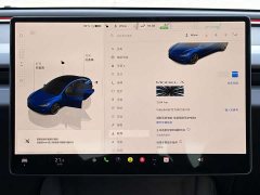 Tesla Model 3 High Performance All-Wheel Drive - ფოტო 10