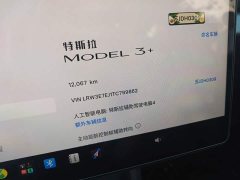 Tesla Model 3 Long Range Rear-Wheel Drive - ფოტო 8