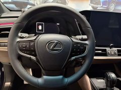 Lexus ES 300h Premium Edition - ფოტო 5
