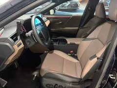Lexus ES 300h Premium Edition - ფოტო 6