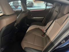 Lexus ES 300h Premium Edition - ფოტო 7