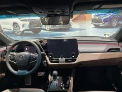 Lexus ES 300h Premium Edition - ფოტო 8