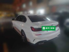 BMW 3 Series 320Li M Sport Package - ფოტო 4