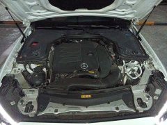Mercedes-Benz E-Class E 300 L Sport Fashion Edition - ფოტო 16