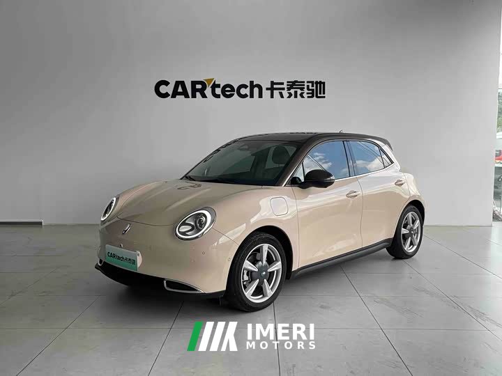 ORA Good Cat 400km Standard Range Athena Edition LFP Battery - ავტომობილი ჩინეთიდან