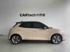 ORA Good Cat 400km Standard Range Athena Edition LFP Battery - ფოტო 7
