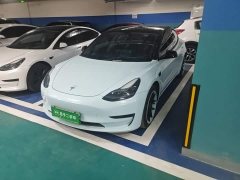 Tesla Model 3 Rear-Wheel Drive - ფოტო 1