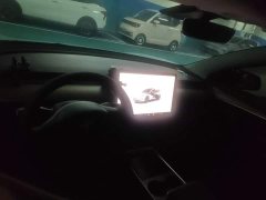 Tesla Model 3 Rear-Wheel Drive - ფოტო 11